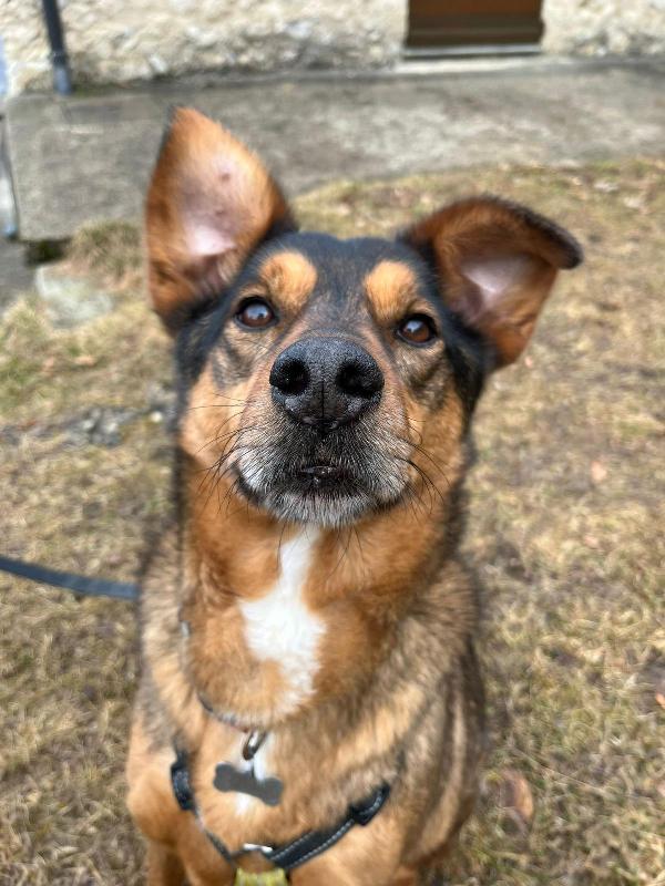 Zeus Foto 2